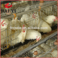 Cage / Uganda Poultry Farm Cage automatique de couche de poulet